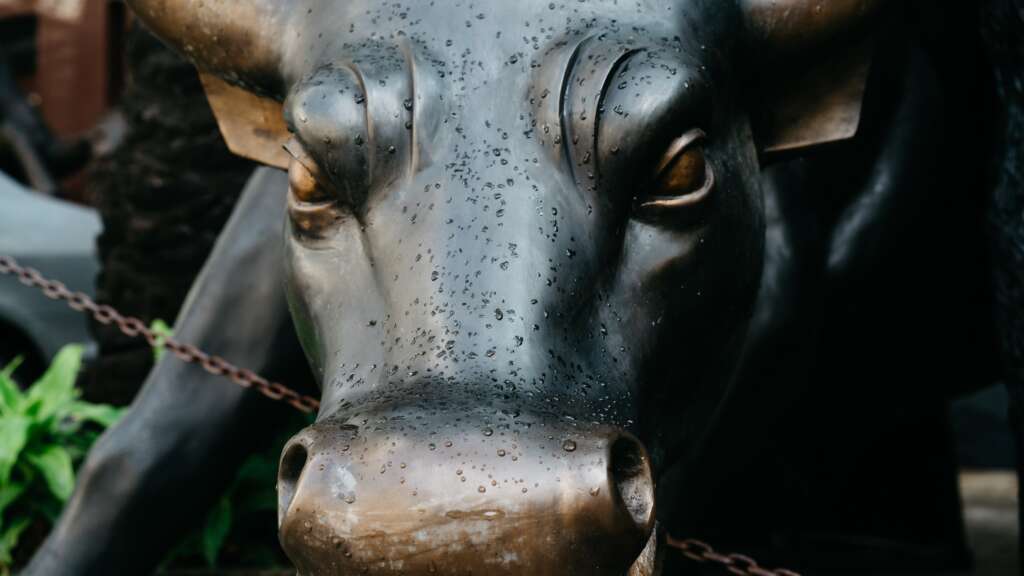 bull 7189004 | Quentinvest